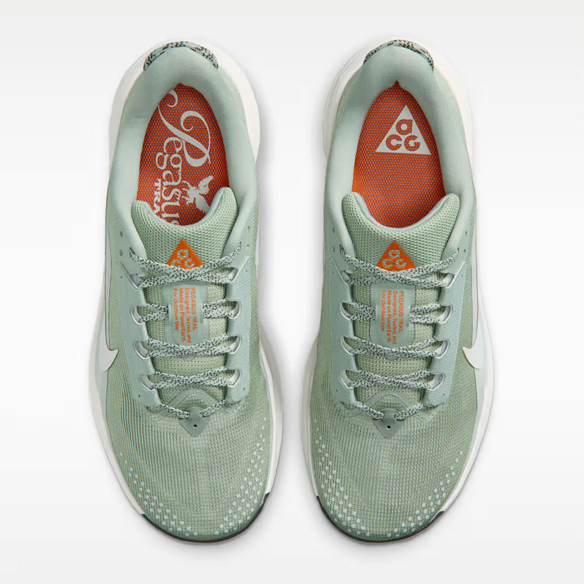 NIKE - ACG Pegasus Trail JADE HORIZON/PHANTOM-LIGHT SILVER 【HV8116-310】