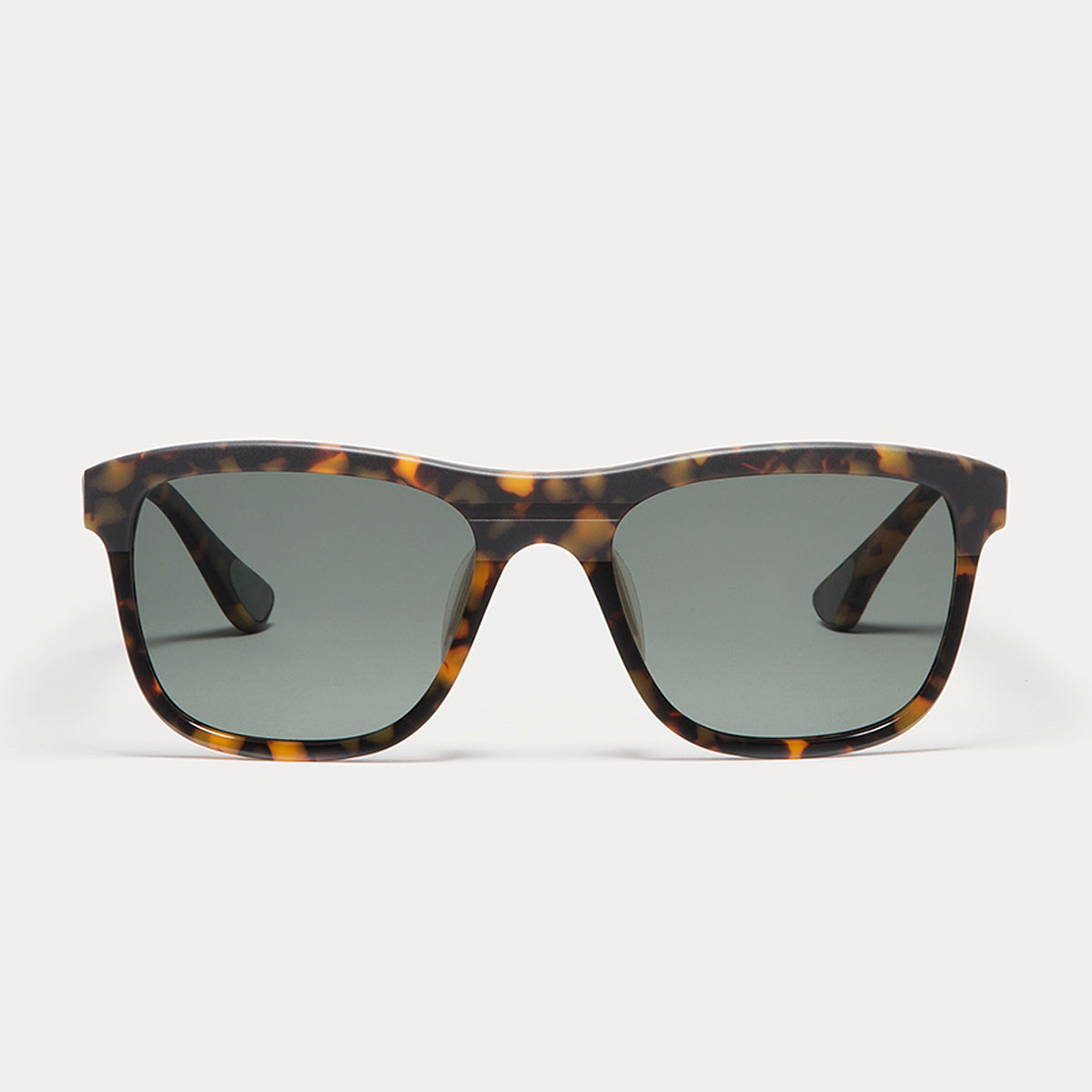 Linden - TORTOISE w/G15 CR39 POLARIZED LENS