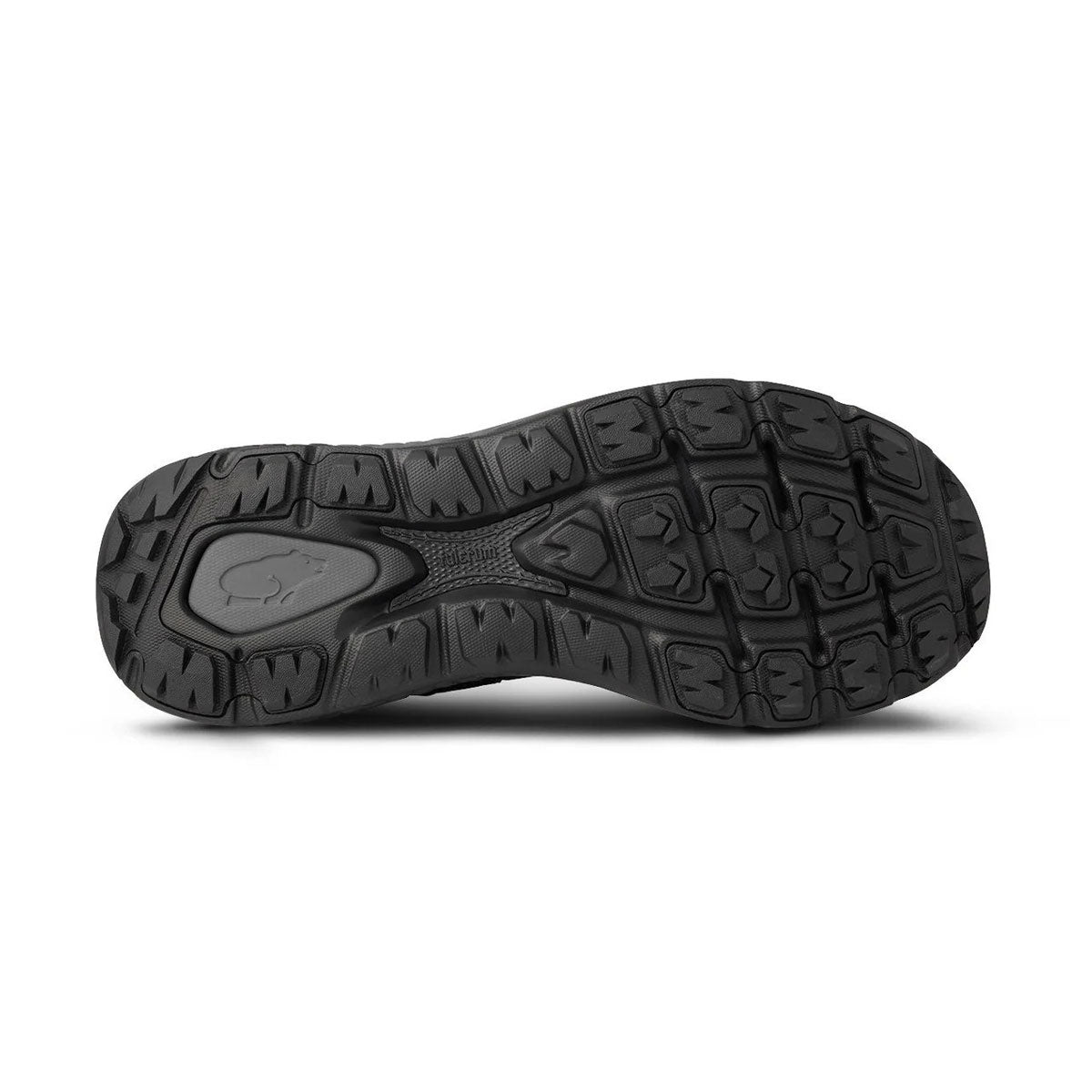 KARHU - IKONI TRAIL 1.0 Water Resistant【KH104006-3740】