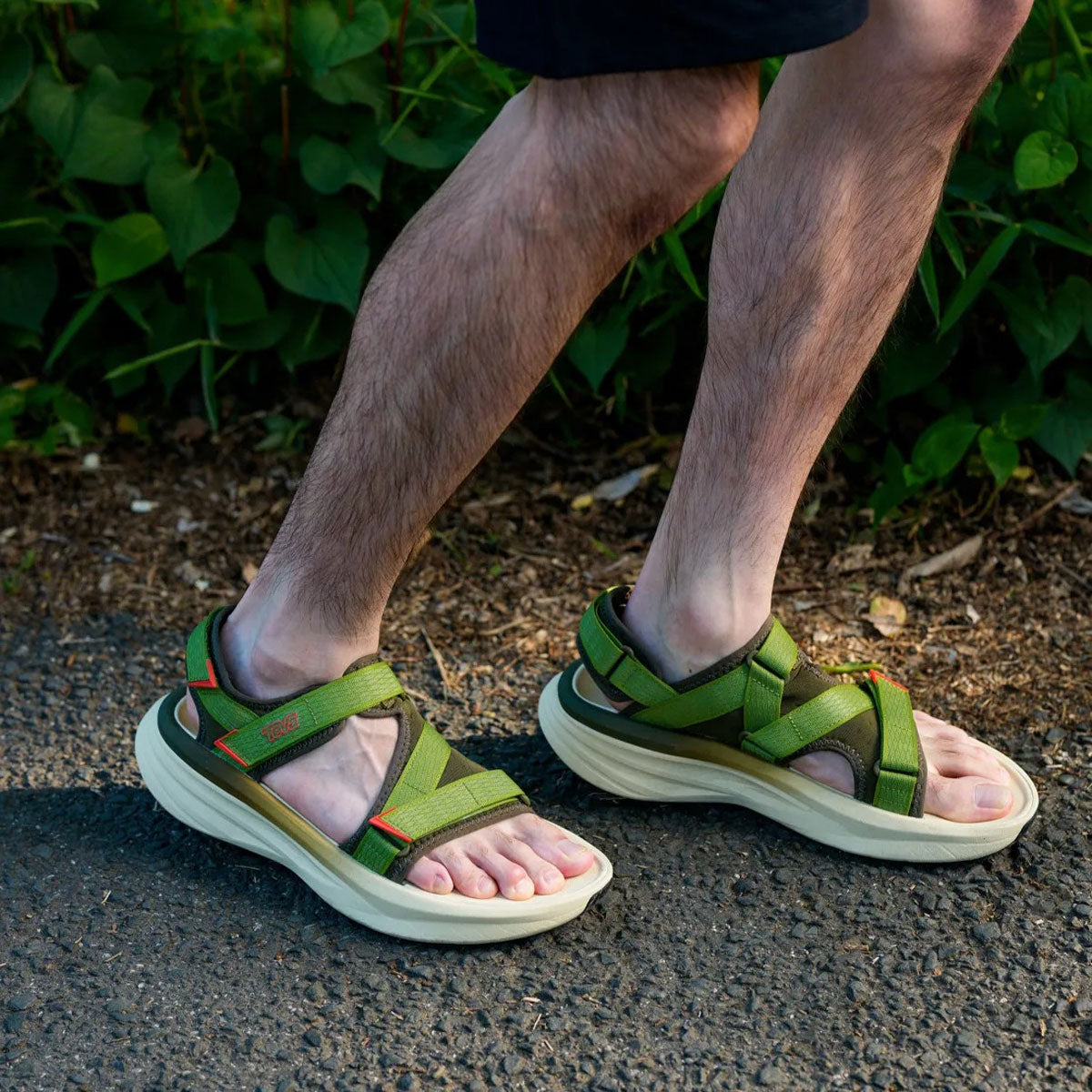 TEVA - AVENTRAIL R2T 【1172830-DKLV】