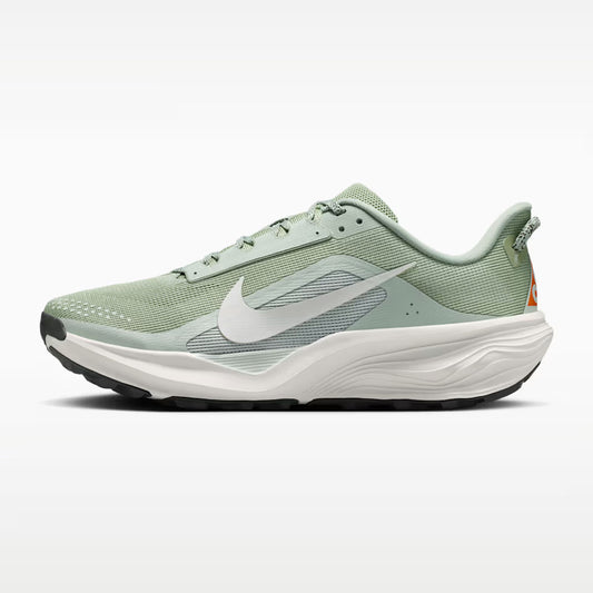 NIKE - ACG Pegasus Trail JADE HORIZON/PHANTOM-LIGHT SILVER 【HV8116-310】