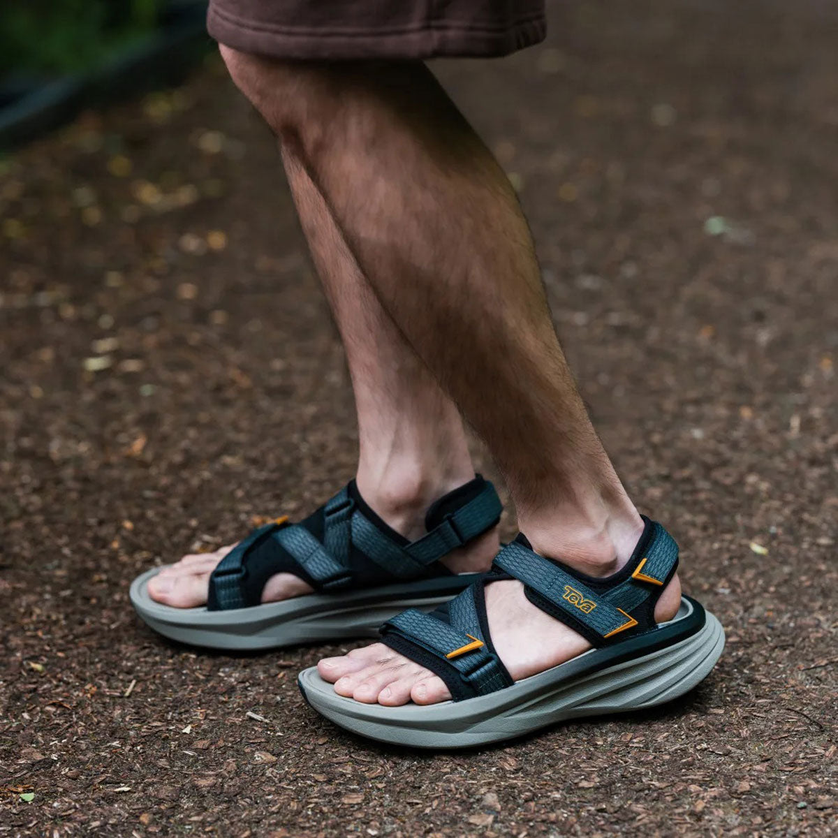 TEVA - AVENTRAIL R2T 【1172830-BSFL】